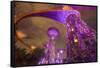 Singapore. Garden by the Sea Towers at Night-Jaynes Gallery-Framed Stretched Canvas