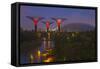 Singapore. Garden by the Sea Towers at Night-Jaynes Gallery-Framed Stretched Canvas