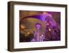 Singapore. Garden by the Sea Towers at Night-Jaynes Gallery-Framed Photographic Print