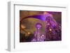 Singapore. Garden by the Sea Towers at Night-Jaynes Gallery-Framed Photographic Print