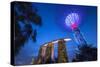 Singapore, Gardens by the Bay, Super Tree Grove and Marina Bay Sands Hotel, Dusk-Walter Bibikow-Stretched Canvas