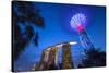 Singapore, Gardens by the Bay, Super Tree Grove and Marina Bay Sands Hotel, Dusk-Walter Bibikow-Stretched Canvas