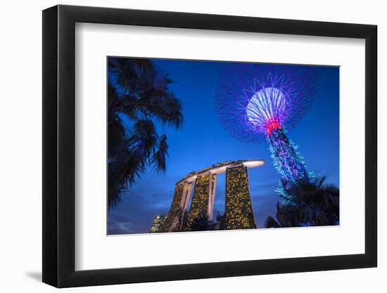 Singapore, Gardens by the Bay, Super Tree Grove and Marina Bay Sands Hotel, Dusk-Walter Bibikow-Framed Photographic Print