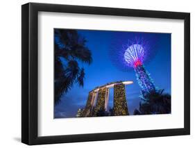 Singapore, Gardens by the Bay, Super Tree Grove and Marina Bay Sands Hotel, Dusk-Walter Bibikow-Framed Photographic Print