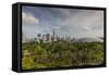 Singapore, Gardens by the Bay, Super Tree Grove, Elevated Walkway View with Singapore Skyline-Walter Bibikow-Framed Stretched Canvas