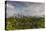 Singapore, Gardens by the Bay, Super Tree Grove, Elevated Walkway View with Singapore Skyline-Walter Bibikow-Stretched Canvas