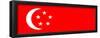 Singapore National Flag Poster Print-null-Framed Poster