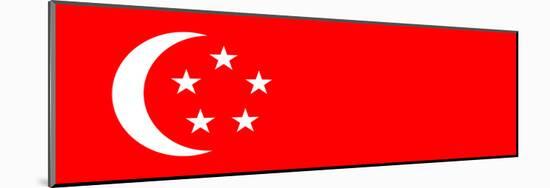 Singapore National Flag Poster Print-null-Mounted Poster