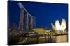 Singapore. Nighttime downtown waterfront architecture.-Jaynes Gallery-Stretched Canvas