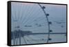 Singapore, Singapore Flyer, Giant Ferris Wheel, Elevated View, Dawn-Walter Bibikow-Framed Stretched Canvas