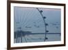 Singapore, Singapore Flyer, Giant Ferris Wheel, Elevated View, Dawn-Walter Bibikow-Framed Photographic Print