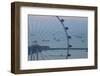 Singapore, Singapore Flyer, Giant Ferris Wheel, Elevated View, Dawn-Walter Bibikow-Framed Photographic Print