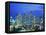 Singapore skyline-Murat Taner-Framed Stretched Canvas