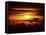 Singapore Sunset-null-Framed Stretched Canvas