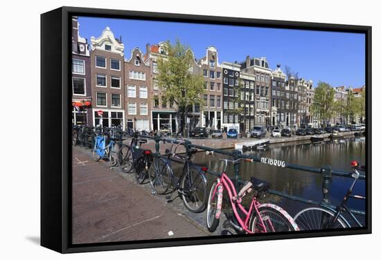 Singel Canal, Amsterdam, Netherlands, Europe-Amanda Hall-Framed Stretched Canvas