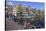 Singel Canal, Amsterdam, Netherlands, Europe-Amanda Hall-Stretched Canvas