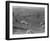 Singer 2-seater sports competing in the MG Car Club Rushmere Hillclimb, Shropshire, 1935-Bill Brunell-Framed Photographic Print