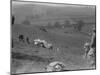 Singer 2-seater sports competing in the MG Car Club Rushmere Hillclimb, Shropshire, 1935-Bill Brunell-Mounted Photographic Print