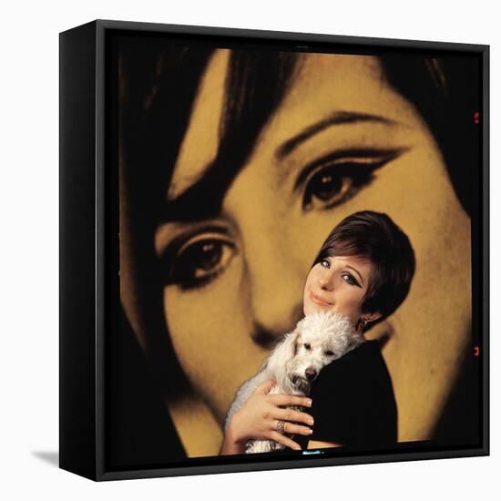 Singer and Actress Barbra Streisand Holding Small Dog in Her Arms-Bill Eppridge-Framed Stretched Canvas