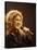 Singer Celine Dion Performing-Dave Allocca-Stretched Canvas