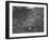 Singer competing in the MG Car Club Abingdon Trial/Rally, 1939-Bill Brunell-Framed Photographic Print