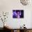 Singer Fiona Apple Performing-Dave Allocca-Stretched Canvas displayed on a wall