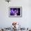 Singer Fiona Apple Performing-Dave Allocca-Framed Premium Photographic Print displayed on a wall