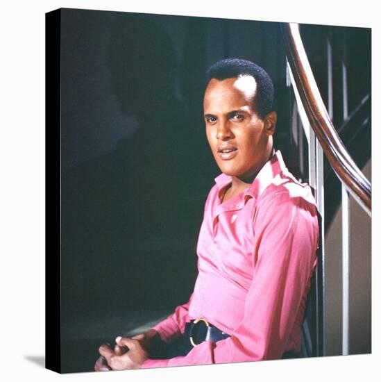 Singer Harry Belafonte-Allan Grant-Stretched Canvas