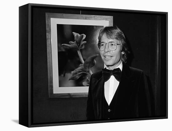 Singer John Denver-null-Framed Stretched Canvas