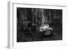 Singer Le Mans competing in the Mid Surrey AC Barnstaple Trial, 1934-Bill Brunell-Framed Photographic Print