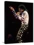 Singer Michael Jackson Performing-David Mcgough-Stretched Canvas