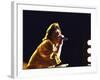 Singer Mick Jagger of the Rock Band the Rolling Stones Performing at Live Aid Concert-David Mcgough-Framed Premium Photographic Print