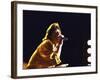 Singer Mick Jagger of the Rock Band the Rolling Stones Performing at Live Aid Concert-David Mcgough-Framed Premium Photographic Print