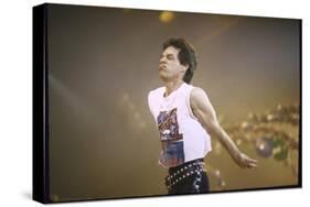 Singer Mick Jagger of the Rock Band the Rolling Stones Performing-David Mcgough-Stretched Canvas