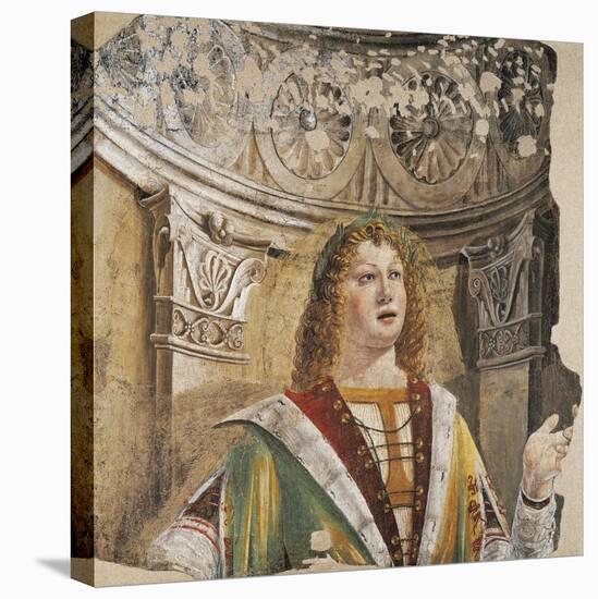 Singer-Donato Bramante-Stretched Canvas