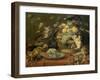 Singes et perroquet auprés d'une corbeille de fruits-Frans Snyders-Framed Giclee Print