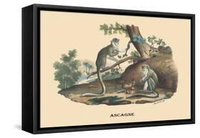 Singes Monkeys-E.f. Noel-Framed Stretched Canvas