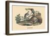 Singes Monkeys-E.f. Noel-Framed Art Print