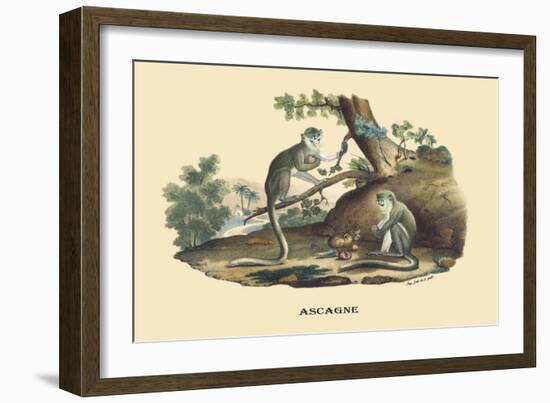 Singes Monkeys-E.f. Noel-Framed Art Print