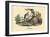 Singes Monkeys-E.f. Noel-Framed Art Print