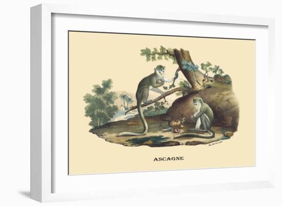 Singes Monkeys-E.f. Noel-Framed Art Print