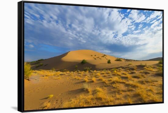 Singing Dunes, Altyn-Emel National Park, Almaty region, Kazakhstan, Central Asia, Asia-G&M Therin-Weise-Framed Stretched Canvas