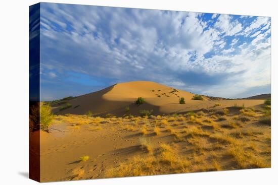 Singing Dunes, Altyn-Emel National Park, Almaty region, Kazakhstan, Central Asia, Asia-G&M Therin-Weise-Stretched Canvas