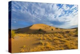 Singing Dunes, Altyn-Emel National Park, Almaty region, Kazakhstan, Central Asia, Asia-G&M Therin-Weise-Stretched Canvas