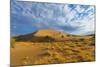 Singing Dunes, Altyn-Emel National Park, Almaty region, Kazakhstan, Central Asia, Asia-G&M Therin-Weise-Mounted Photographic Print