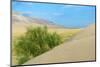 Singing Dunes, Altyn-Emel National Park, Almaty region, Kazakhstan, Central Asia, Asia-G&M Therin-Weise-Mounted Photographic Print
