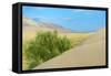 Singing Dunes, Altyn-Emel National Park, Almaty region, Kazakhstan, Central Asia, Asia-G&M Therin-Weise-Framed Stretched Canvas