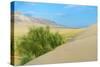 Singing Dunes, Altyn-Emel National Park, Almaty region, Kazakhstan, Central Asia, Asia-G&M Therin-Weise-Stretched Canvas