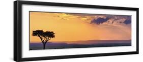 Single Acacia Tree at Sunset, Masai Mara Game Reserve, Kenya-Adam Jones-Framed Premium Photographic Print