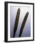 Single bladed paddles used to propel kayaks-Werner Forman-Framed Giclee Print